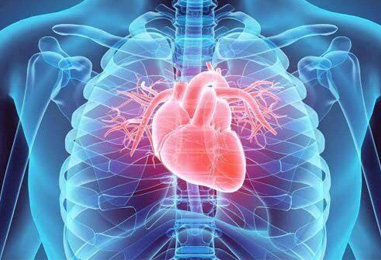 Kalp-Damar Hastalıklarının Önemi ve Risk Faktörleri