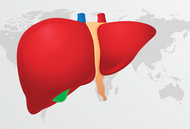 HEPATİT B VİRÜSÜNE DİKKAT