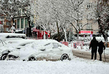 KIŞ KIYAMET, ECZACILIK